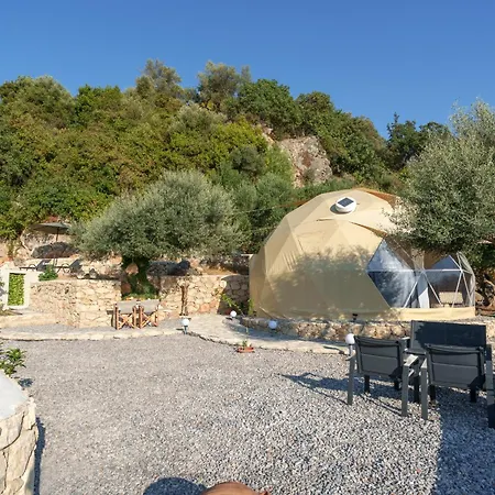 Gogna Luxury Domes - Golden Fig