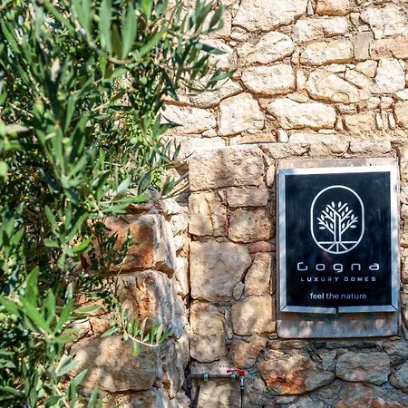 Gogna Luxury Domes - Golden Fig